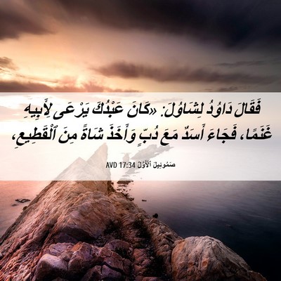 Picture 06 - صَمُوئِيلَ ٱلْأَوَّلُ 17:34 AVD - فَقَالَ دَاوُدُ لِشَاوُلَ: - Bible Verse Picture