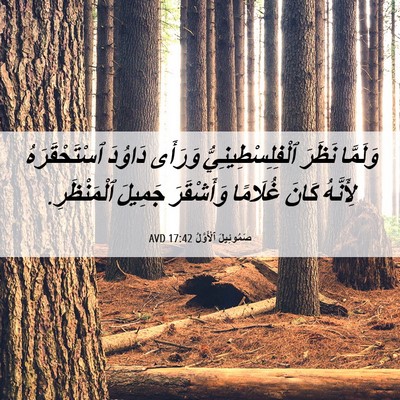 Picture 06 - صَمُوئِيلَ ٱلْأَوَّلُ 17:42 AVD - وَلَمَّا نَظَرَ - Bible Verse Picture