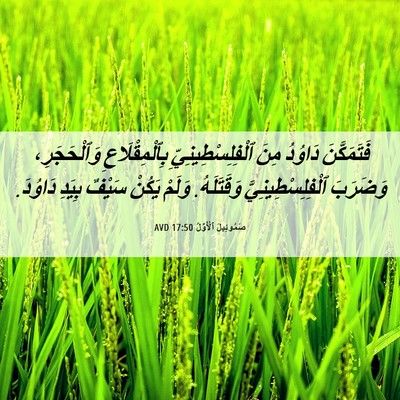 Picture 06 - صَمُوئِيلَ ٱلْأَوَّلُ 17:50 AVD - فَتَمَكَّنَ دَاوُدُ مِنَ - Bible Verse Picture