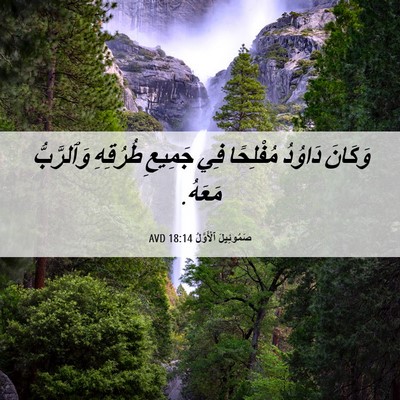 Picture 06 - صَمُوئِيلَ ٱلْأَوَّلُ 18:14 AVD - وَكَانَ دَاوُدُ مُفْلِحًا - Bible Verse Picture