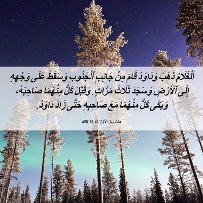 Picture 06 - صَمُوئِيلَ ٱلْأَوَّلُ 20:41 AVD - اَلْغُلَامُ ذَهَبَ - Bible Verse Picture