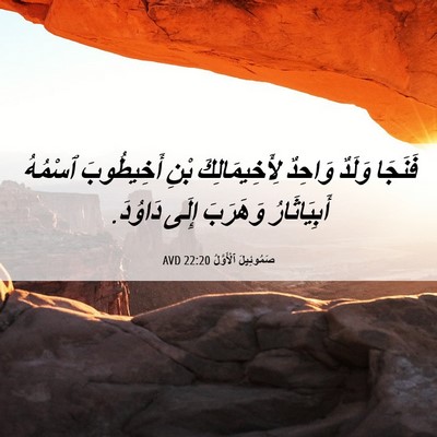 Picture 06 - صَمُوئِيلَ ٱلْأَوَّلُ 22:20 AVD - فَنَجَا وَلَدٌ وَاحِدٌ - Bible Verse Picture