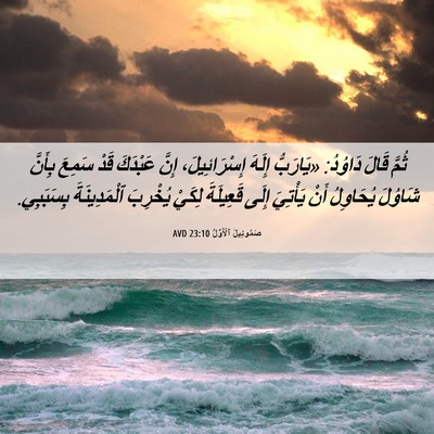 Picture 06 - صَمُوئِيلَ ٱلْأَوَّلُ 23:10 AVD - ثُمَّ قَالَ دَاوُدُ: - Bible Verse Picture