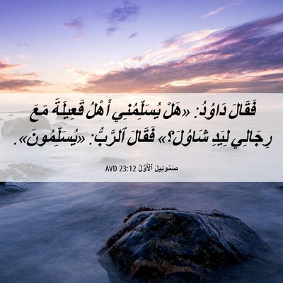 Picture 06 - صَمُوئِيلَ ٱلْأَوَّلُ 23:12 AVD - فَقَالَ دَاوُدُ: «هَلْ - Bible Verse Picture