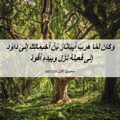Picture 06 - صَمُوئِيلَ ٱلْأَوَّلُ 23:6 AVD - وَكَانَ لَمَّا هَرَبَ - Bible Verse Picture