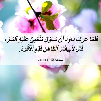Picture 06 - صَمُوئِيلَ ٱلْأَوَّلُ 23:9 AVD - فَلَمَّا عَرَفَ دَاوُدُ - Bible Verse Picture