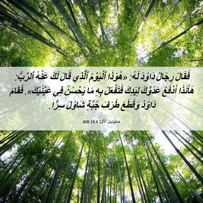 Picture 06 - صَمُوئِيلَ ٱلْأَوَّلُ 24:4 AVD - فَقَالَ رِجَالُ دَاوُدَ - Bible Verse Picture