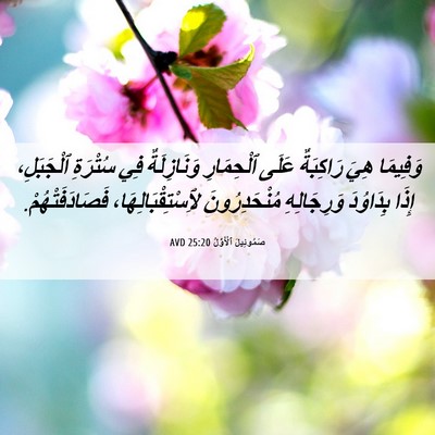 Picture 06 - صَمُوئِيلَ ٱلْأَوَّلُ 25:20 AVD - وَفِيمَا هِيَ رَاكِبَةٌ - Bible Verse Picture