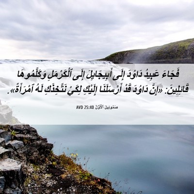 Picture 06 - صَمُوئِيلَ ٱلْأَوَّلُ 25:40 AVD - فَجَاءَ عَبِيدُ دَاوُدَ - Bible Verse Picture
