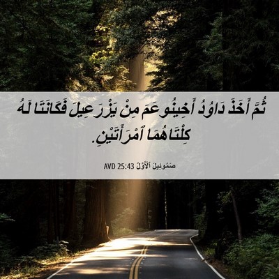 Picture 06 - صَمُوئِيلَ ٱلْأَوَّلُ 25:43 AVD - ثُمَّ أَخَذَ دَاوُدُ - Bible Verse Picture