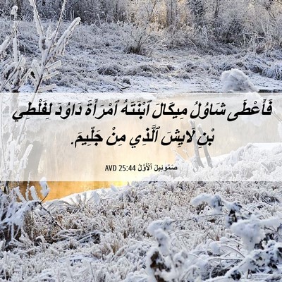 Picture 06 - صَمُوئِيلَ ٱلْأَوَّلُ 25:44 AVD - فَأَعْطَى شَاوُلُ - Bible Verse Picture