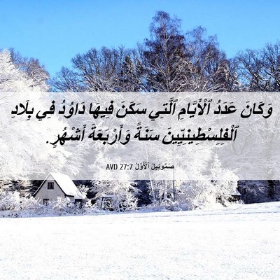 Picture 06 - صَمُوئِيلَ ٱلْأَوَّلُ 27:7 AVD - وَكَانَ عَدَدُ - Bible Verse Picture