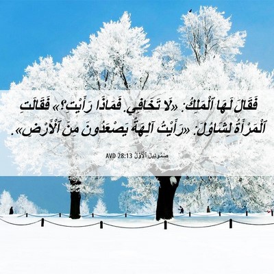 Picture 06 - صَمُوئِيلَ ٱلْأَوَّلُ 28:13 AVD - فَقَالَ لَهَا ٱلْمَلِكُ: - Bible Verse Picture