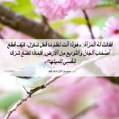 Picture 06 - صَمُوئِيلَ ٱلْأَوَّلُ 28:9 AVD - فَقَالَتْ لَهُ - Bible Verse Picture