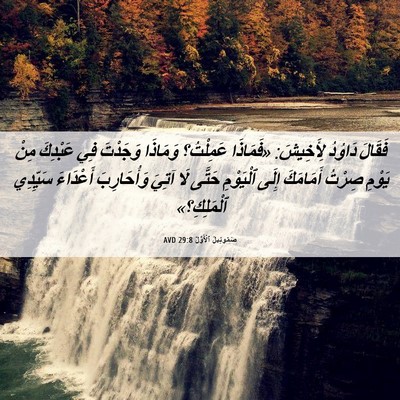 Picture 06 - صَمُوئِيلَ ٱلْأَوَّلُ 29:8 AVD - فَقَالَ دَاوُدُ لِأَخِيشَ: - Bible Verse Picture
