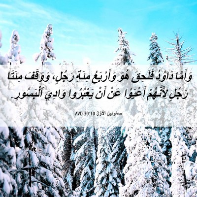 Picture 06 - صَمُوئِيلَ ٱلْأَوَّلُ 30:10 AVD - وَأَمَّا دَاوُدُ فَلَحِقَ - Bible Verse Picture