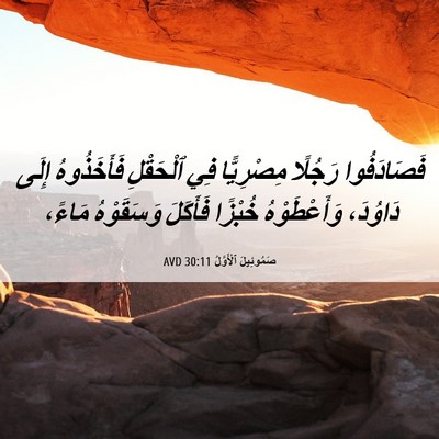 Picture 06 - صَمُوئِيلَ ٱلْأَوَّلُ 30:11 AVD - فَصَادَفُوا رَجُلًا - Bible Verse Picture