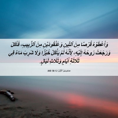 Picture 06 - صَمُوئِيلَ ٱلْأَوَّلُ 30:12 AVD - وَأَعْطَوْهُ قُرْصًا مِنَ - Bible Verse Picture