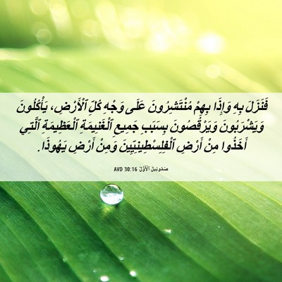 Picture 06 - صَمُوئِيلَ ٱلْأَوَّلُ 30:16 AVD - فَنَزَلَ بِهِ وَإِذَا - Bible Verse Picture