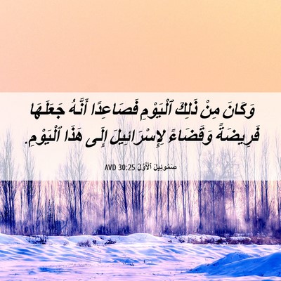 Picture 06 - صَمُوئِيلَ ٱلْأَوَّلُ 30:25 AVD - وَكَانَ مِنْ ذَلِكَ - Bible Verse Picture