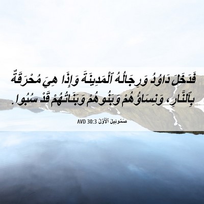Picture 06 - صَمُوئِيلَ ٱلْأَوَّلُ 30:3 AVD - فَدَخَلَ دَاوُدُ - Bible Verse Picture