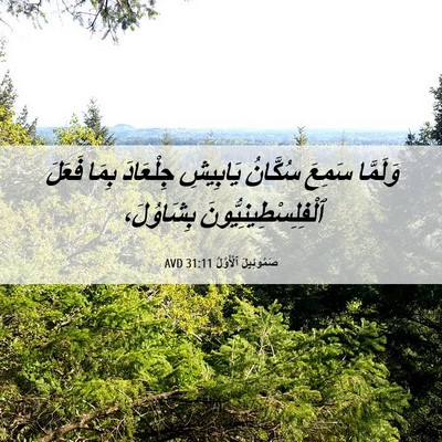 Picture 06 - صَمُوئِيلَ ٱلْأَوَّلُ 31:11 AVD - وَلَمَّا سَمِعَ سُكَّانُ - Bible Verse Picture