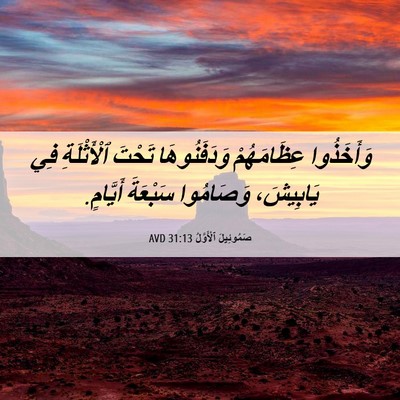 Picture 06 - صَمُوئِيلَ ٱلْأَوَّلُ 31:13 AVD - وَأَخَذُوا عِظَامَهُمْ - Bible Verse Picture