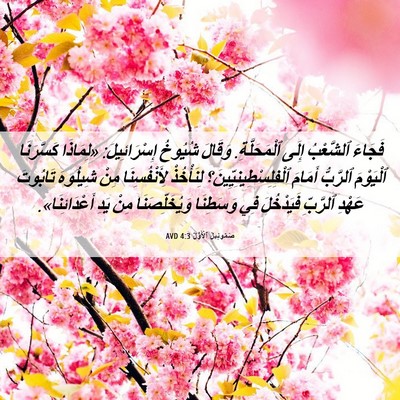 Picture 06 - صَمُوئِيلَ ٱلْأَوَّلُ 4:3 AVD - فَجَاءَ ٱلشَّعْبُ إِلَى - Bible Verse Picture