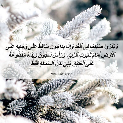 Picture 06 - صَمُوئِيلَ ٱلْأَوَّلُ 5:4 AVD - وَبَكَّرُوا صَبَاحًا فِي - Bible Verse Picture