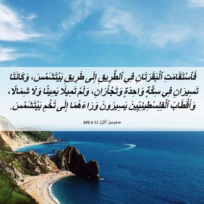 Picture 06 - صَمُوئِيلَ ٱلْأَوَّلُ 6:12 AVD - فَٱسْتَقَامَتِ - Bible Verse Picture
