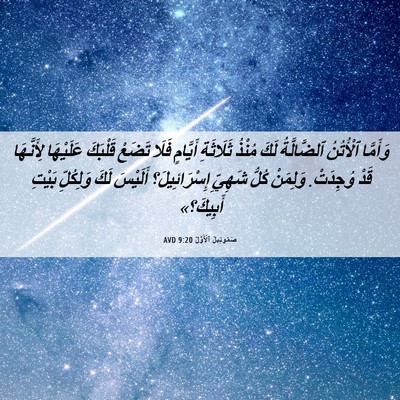 Picture 06 - صَمُوئِيلَ ٱلْأَوَّلُ 9:20 AVD - وَأَمَّا ٱلْأُتُنُ - Bible Verse Picture