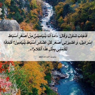 Picture 06 - صَمُوئِيلَ ٱلْأَوَّلُ 9:21 AVD - فَأَجَابَ شَاوُلُ وَقَالَ: - Bible Verse Picture