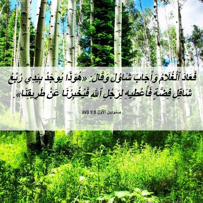 Picture 06 - صَمُوئِيلَ ٱلْأَوَّلُ 9:8 AVD - فَعَادَ ٱلْغُلَامُ - Bible Verse Picture