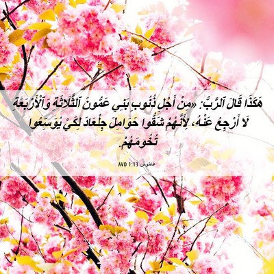 Picture 06 - عَامُوس 1:13 AVD - هَكَذَا قَالَ ٱلرَّبُّ: - Bible Verse Picture
