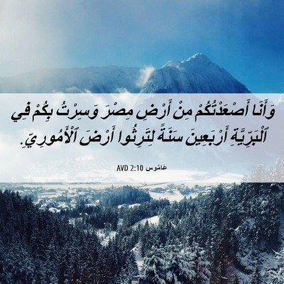 Picture 06 - عَامُوس 2:10 AVD - وَأَنَا أَصْعَدْتُكُمْ - Bible Verse Picture