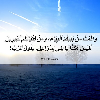 Picture 06 - عَامُوس 2:11 AVD - وَأَقَمْتُ مِنْ بَنِيكُمْ - Bible Verse Picture