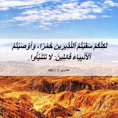 Picture 06 - عَامُوس 2:12 AVD - لَكِنَّكُمْ سَقَيْتُمُ - Bible Verse Picture