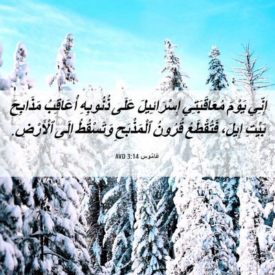 Picture 06 - عَامُوس 3:14 AVD - إِنِّي يَوْمَ - Bible Verse Picture