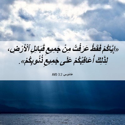 Picture 06 - عَامُوس 3:2 AVD - «إِيَّاكُمْ فَقَطْ - Bible Verse Picture