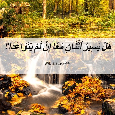 Picture 06 - عَامُوس 3:3 AVD - هَلْ يَسِيرُ ٱثْنَانِ - Bible Verse Picture