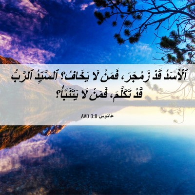 Picture 06 - عَامُوس 3:8 AVD - ٱلْأَسَدُ قَدْ زَمْجَرَ، - Bible Verse Picture