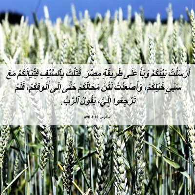 Picture 06 - عَامُوس 4:10 AVD - أَرْسَلْتُ بَيْنَكُمْ - Bible Verse Picture