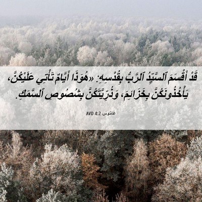Picture 06 - عَامُوس 4:2 AVD - قَدْ أَقْسَمَ ٱلسَّيِّدُ - Bible Verse Picture