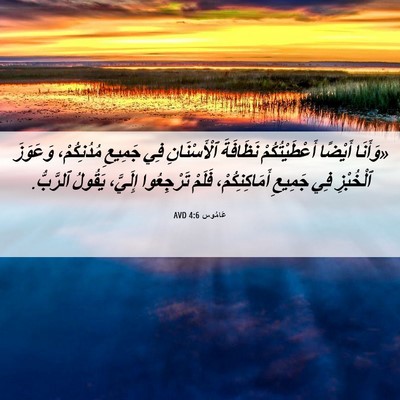 Picture 06 - عَامُوس 4:6 AVD - «وَأَنَا أَيْضًا - Bible Verse Picture