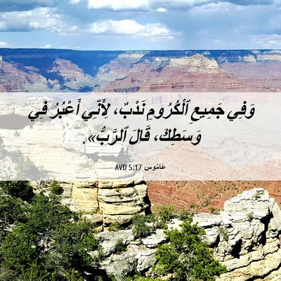 Picture 06 - عَامُوس 5:17 AVD - وَفِي جَمِيعِ ٱلْكُرُومِ - Bible Verse Picture