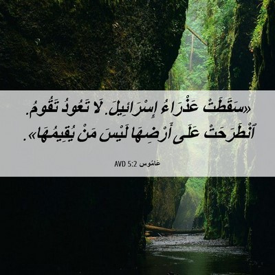 Picture 06 - عَامُوس 5:2 AVD - «سَقَطَتْ عَذْرَاءُ - Bible Verse Picture