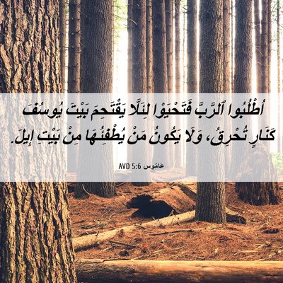 Picture 06 - عَامُوس 5:6 AVD - اُطْلُبُوا ٱلرَّبَّ - Bible Verse Picture