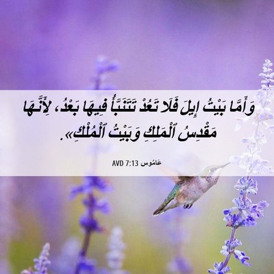 Picture 06 - عَامُوس 7:13 AVD - وَأَمَّا بَيْتُ إِيلَ - Bible Verse Picture