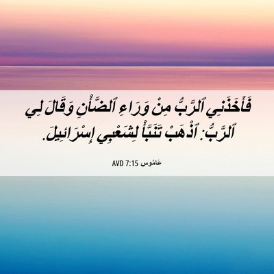 Picture 06 - عَامُوس 7:15 AVD - فَأَخَذَنِي ٱلرَّبُّ مِنْ - Bible Verse Picture