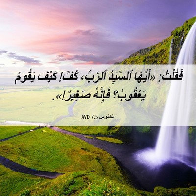 Picture 06 - عَامُوس 7:5 AVD - فَقُلْتُ: «أَيُّهَا - Bible Verse Picture